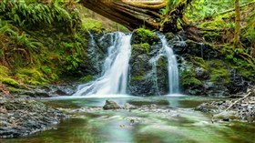 Tree_stump_Falls