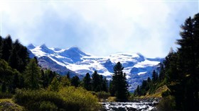 High_Snow_Forest