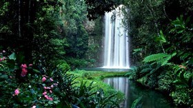 Tropical_Winter