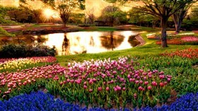 Tulip_Garden_Pond