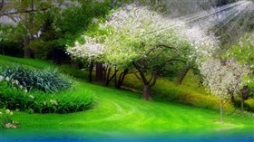 Beautiful_Spring_Pond