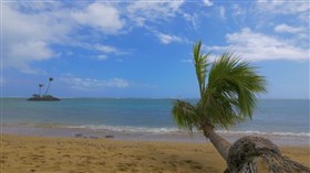 Tropical_Hawaii