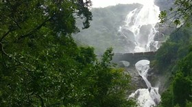 Dudhsagar_Waterfall_India 
