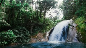 Excotic_Forest_Waterfall