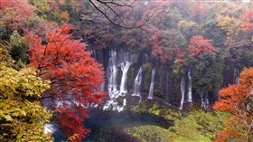 Shiraito Waterfall in Autumn