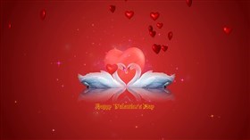 Swans Valentine Day