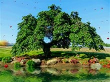 Scenic_Garden_Pond