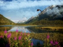 High_Meadow_Lake