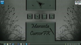 Maranta FX