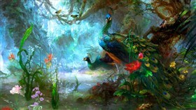 Peacock Swamp