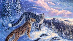 Snow Leopard