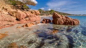 Clear Water Shore