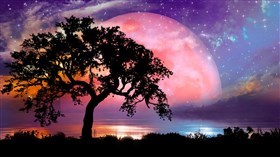 Moon Star
