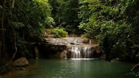 Forest Falls