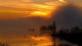 Warm Sunrise
