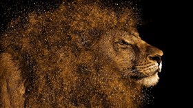 Lions Head