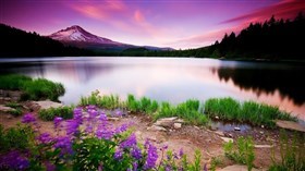 Beautiful Scenery 4K