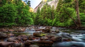 HDR Forest River