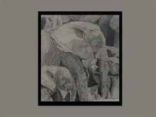 Elephant family