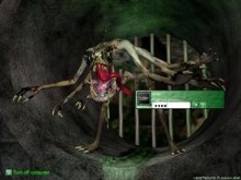 The Creeper
