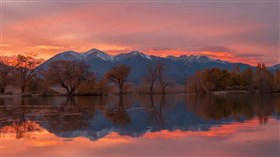 Reflections