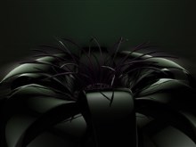black flower