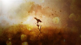Crow
