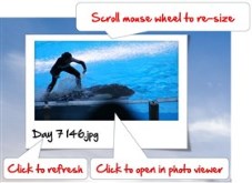 Photos