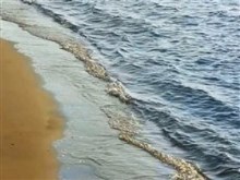 the shore