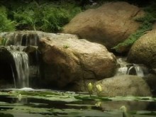 little waterfall