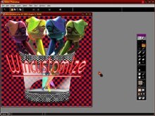 Wincustomize