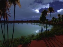 Midnight at the Oasis
