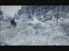 Winterland