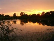 Serene Setting