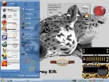 big cat