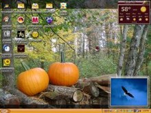 pumkin time