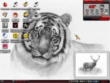 tiger 11