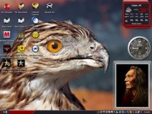 RED TAIL HAWK8
