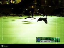 Matrixial Crows