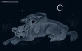 G'Night (Widescreen)