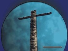 Moon Totem