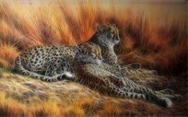 Leopard Pair