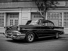 Black and White Perfection