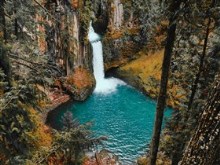 Waterfall in the Forest