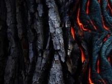Dried Lava