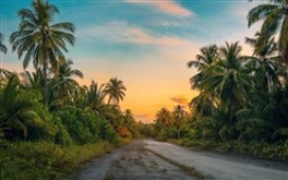Dirt Road Sunset