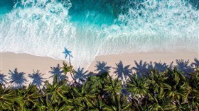 Beach and Shore Aerial