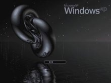 Sea Torus