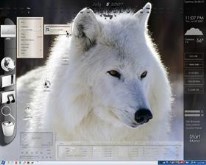 white wolf